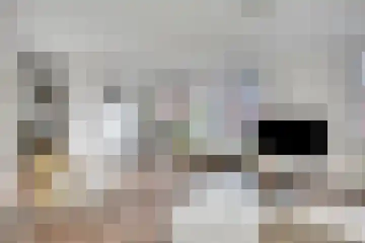 Leonardo da Vinciplein 36 's-Hertogenbosch thumbnail 13