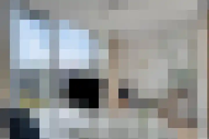 Leonardo da Vinciplein 36 's-Hertogenbosch thumbnail 19