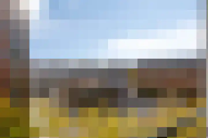 Leonardo da Vinciplein 36 's-Hertogenbosch thumbnail 22