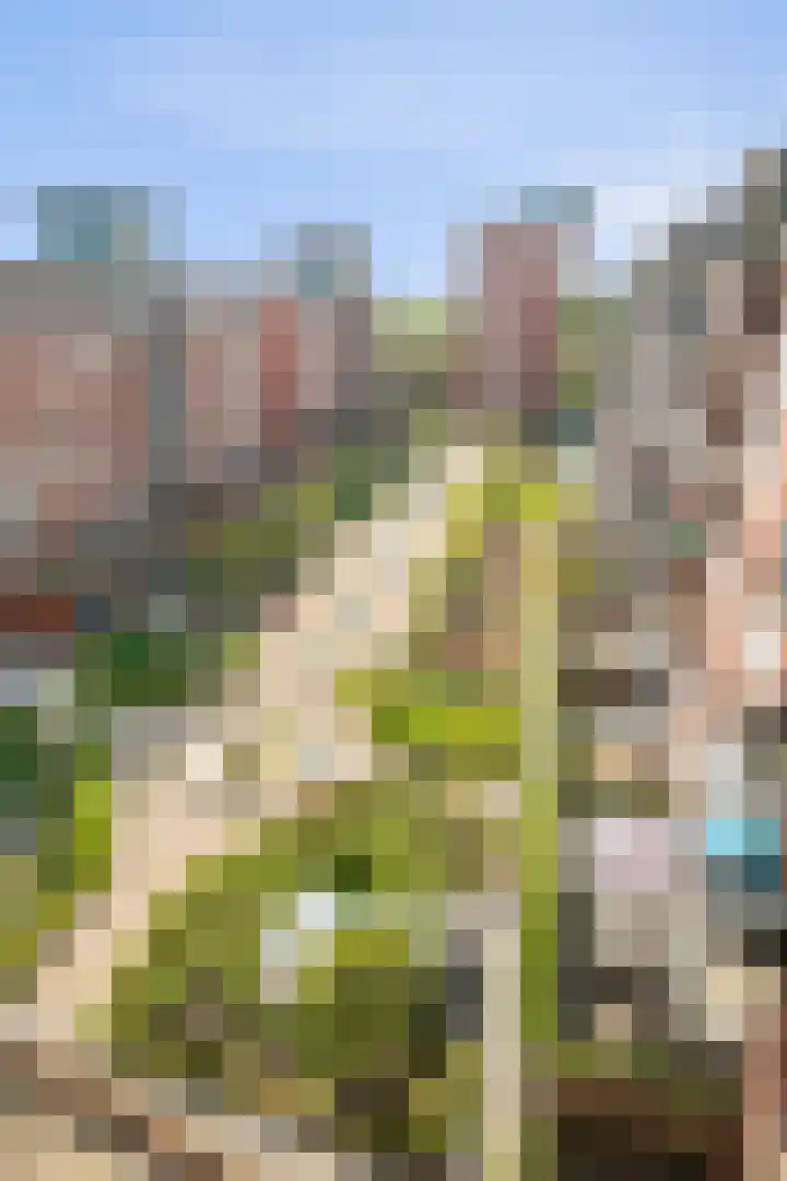 Leonardo da Vinciplein 36 's-Hertogenbosch thumbnail 28