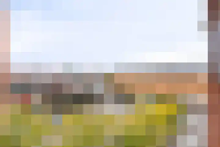 Leonardo da Vinciplein 36 's-Hertogenbosch thumbnail 34