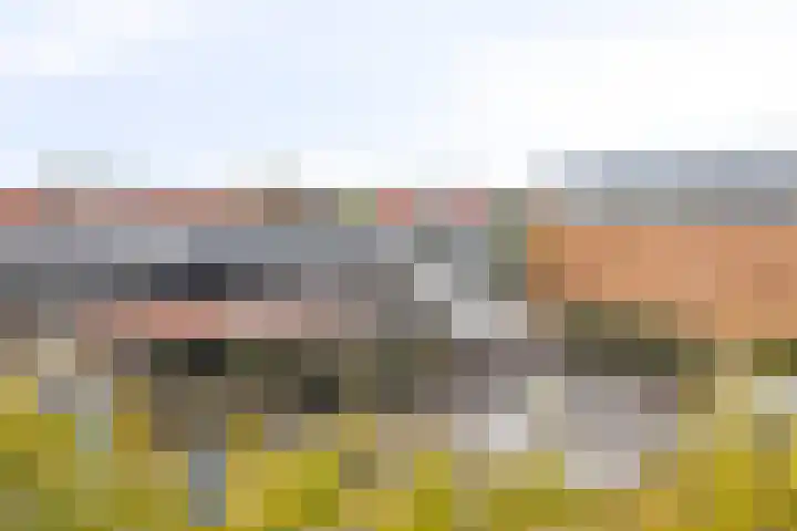 Leonardo da Vinciplein 36 's-Hertogenbosch thumbnail 35
