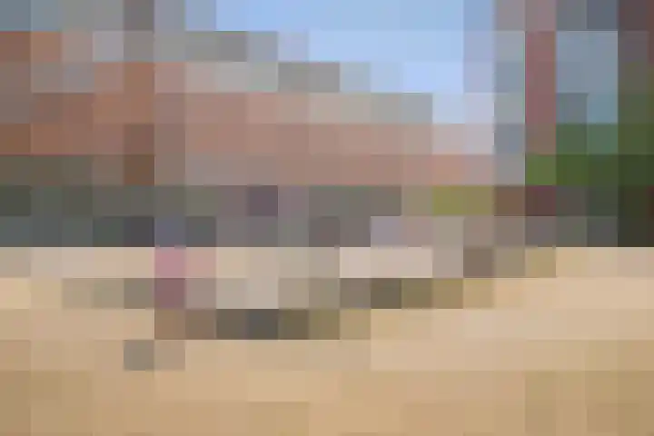 Leonardo da Vinciplein 36 's-Hertogenbosch thumbnail 36