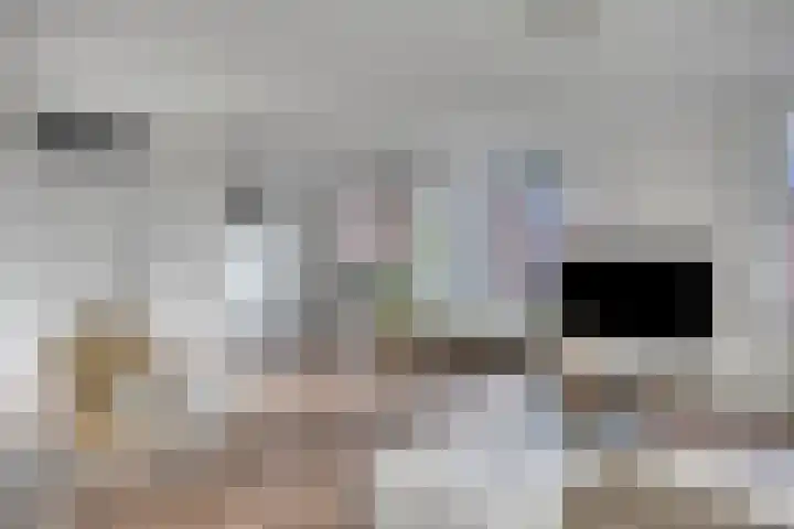 Leonardo da Vinciplein 36 's-Hertogenbosch thumbnail 4