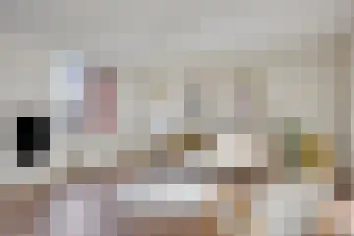 Leonardo da Vinciplein 36 's-Hertogenbosch thumbnail 6