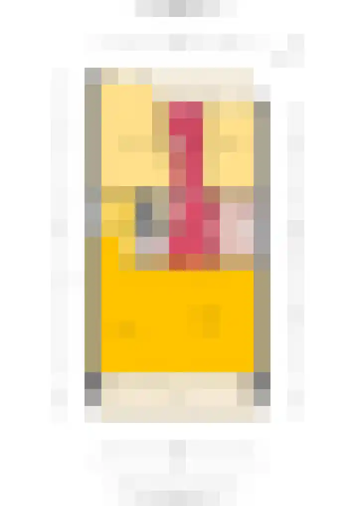 Leonardo da Vinciplein 59 Haarlem thumbnail 21