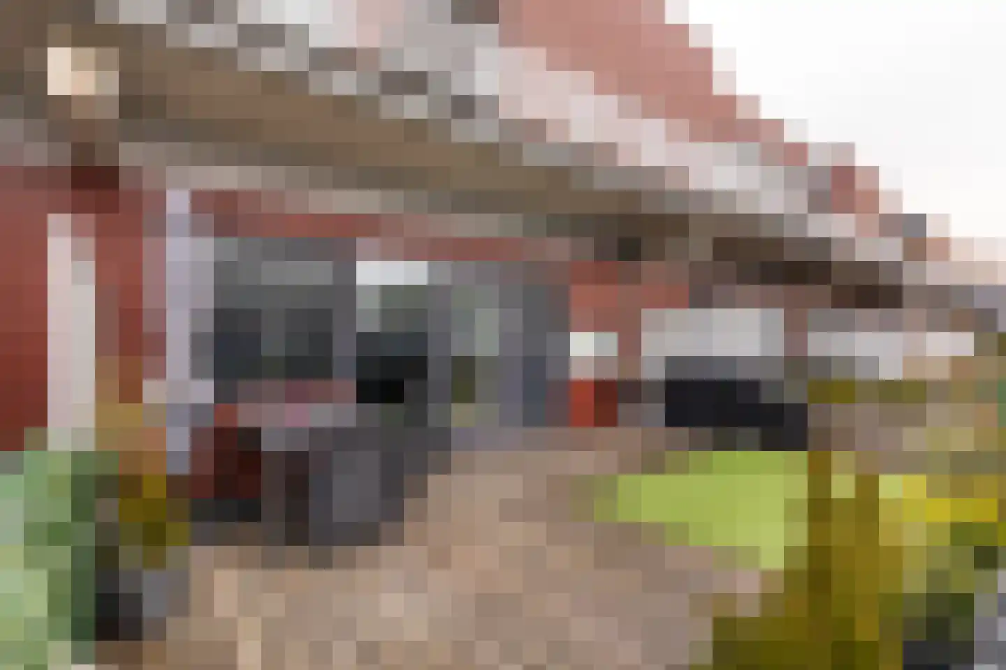 Leonardo da Vinciplein 75 Haarlem thumbnail 20
