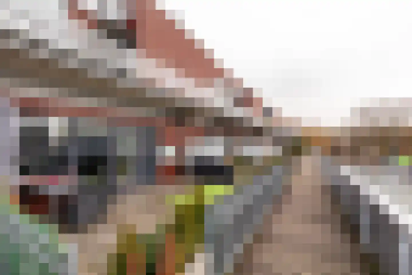 Leonardo da Vinciplein 75 Haarlem thumbnail 23