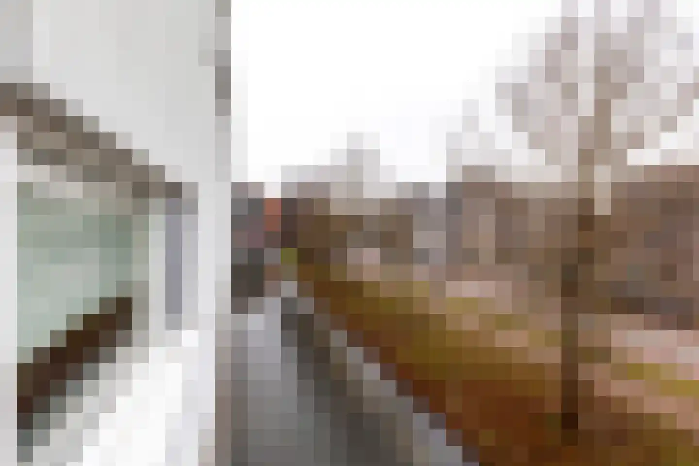 Leonardo da Vinciplein 75 Haarlem thumbnail 24