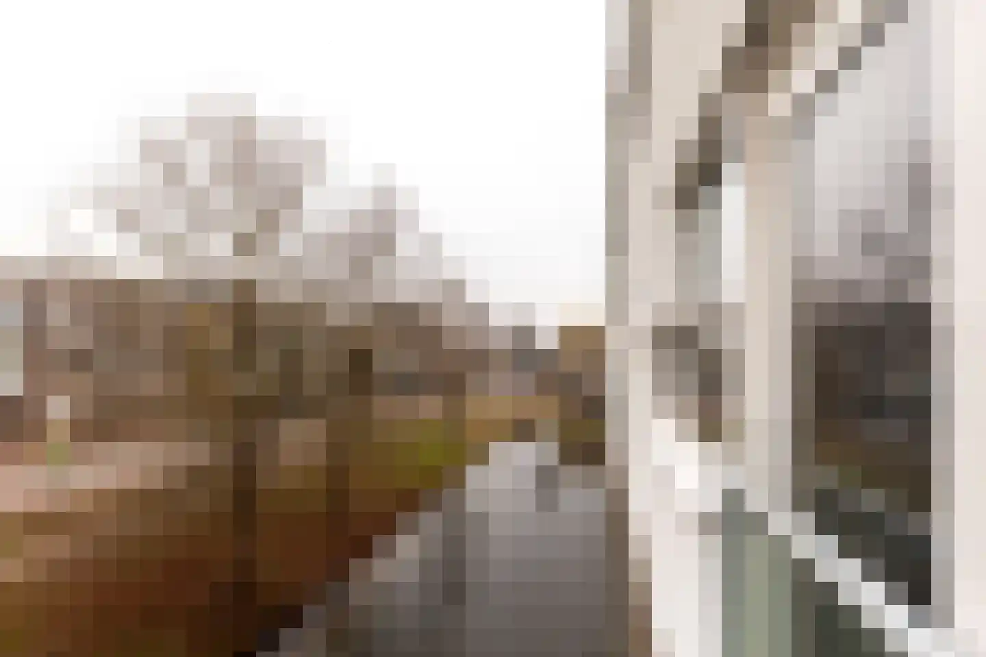 Leonardo da Vinciplein 75 Haarlem thumbnail 25
