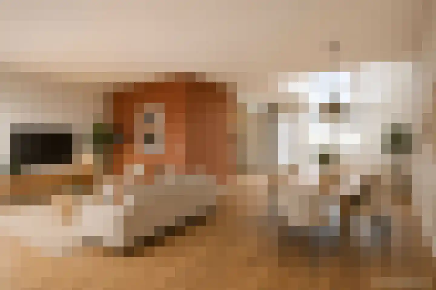 Leonardo da Vinciplein 89 Haarlem thumbnail 11