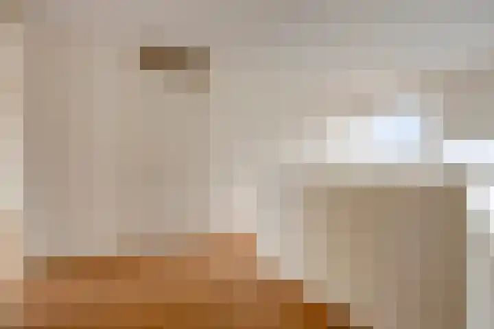 Leonardo da Vinciplein 89 Haarlem thumbnail 12