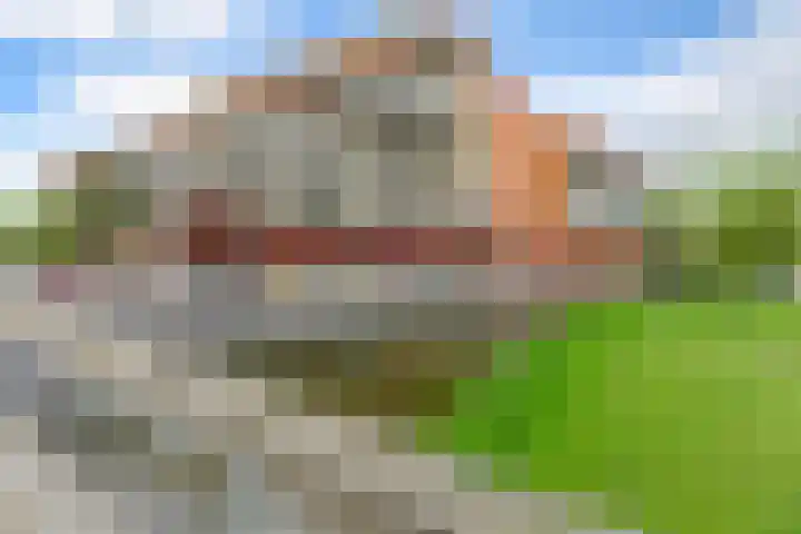 Leonardo da Vinciplein 89 Haarlem thumbnail 45