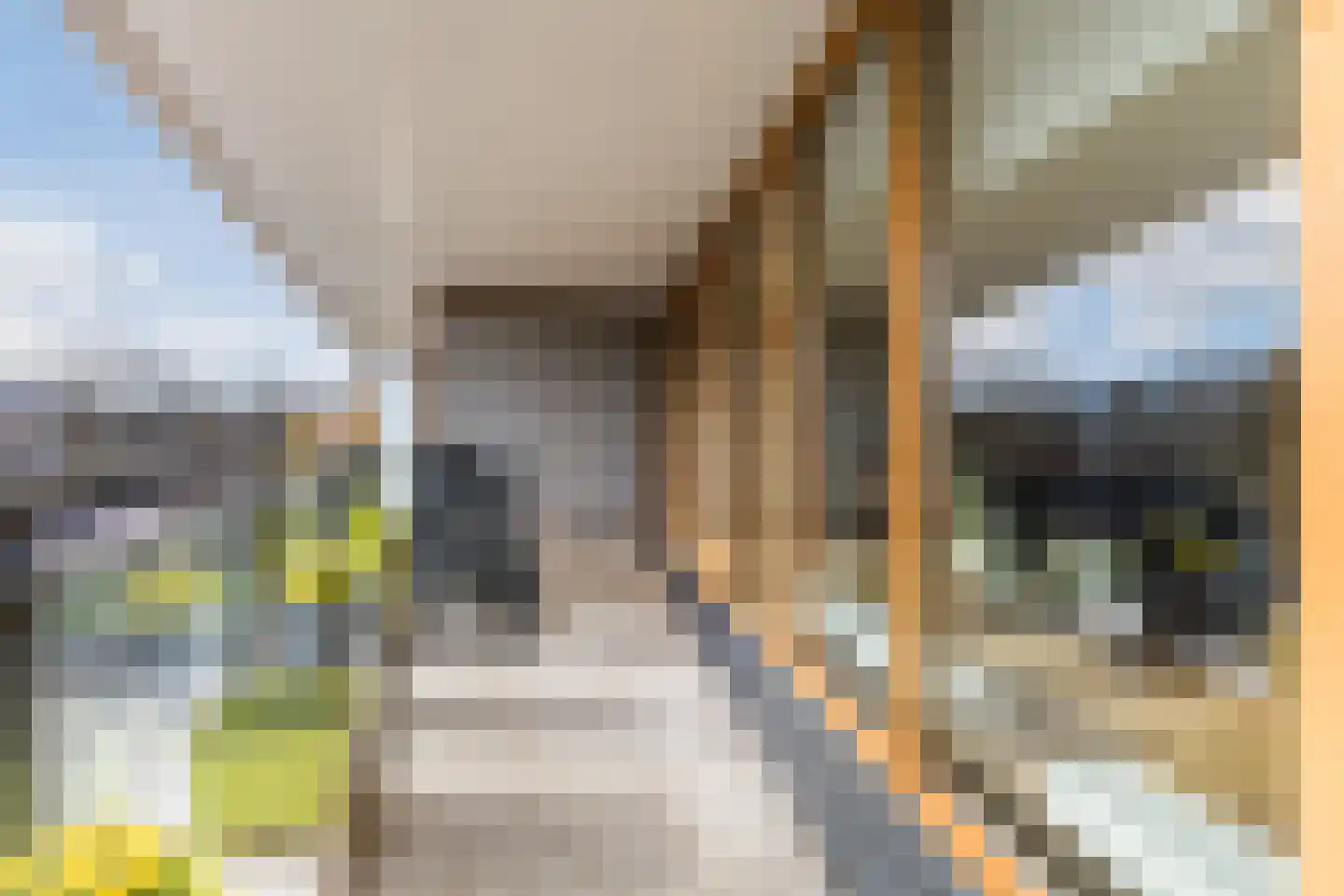 Leonardo da Vinciplein 9 Haarlem thumbnail 15