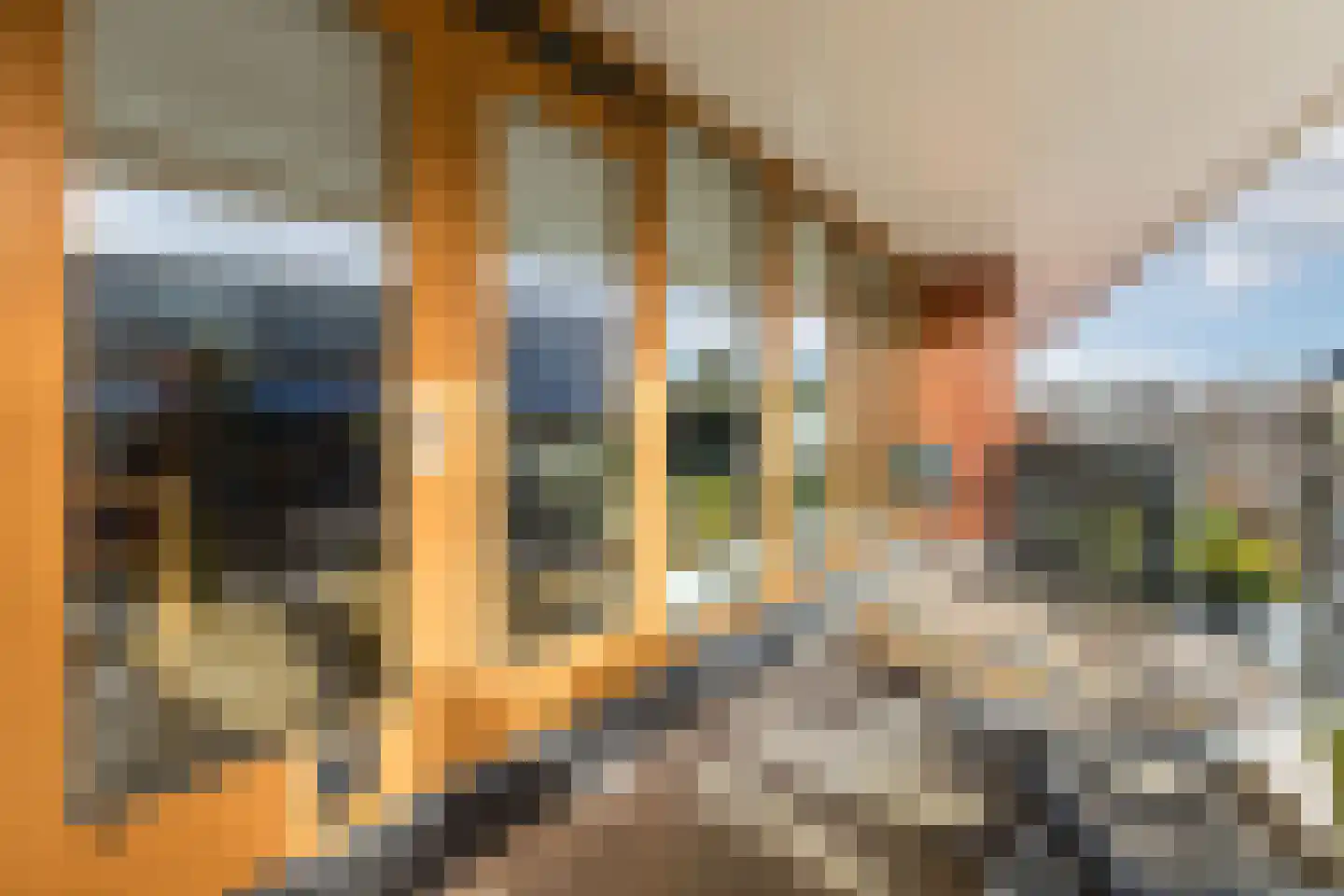 Leonardo da Vinciplein 9 Haarlem thumbnail 16