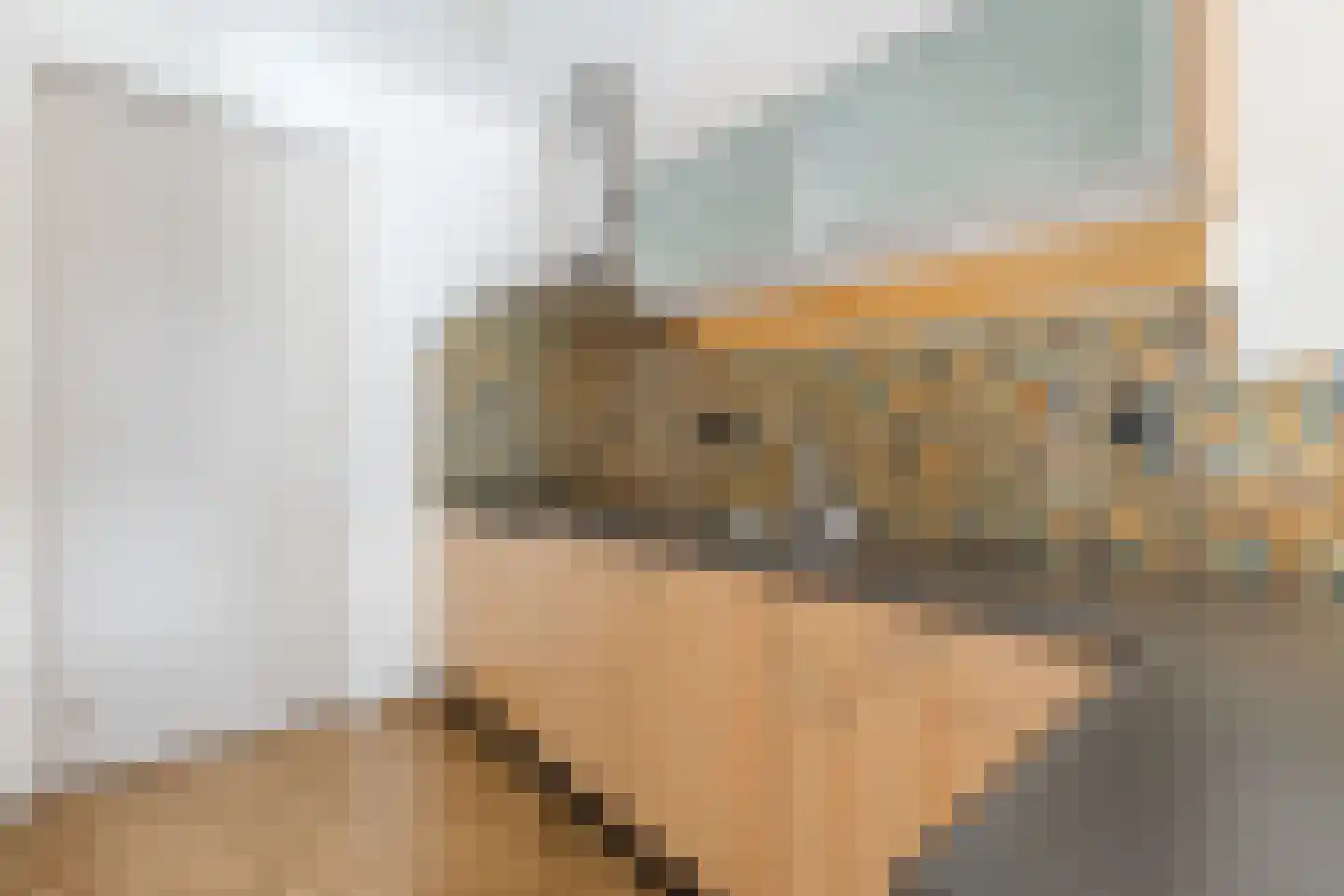Leonardo da Vinciplein 9 Haarlem thumbnail 22