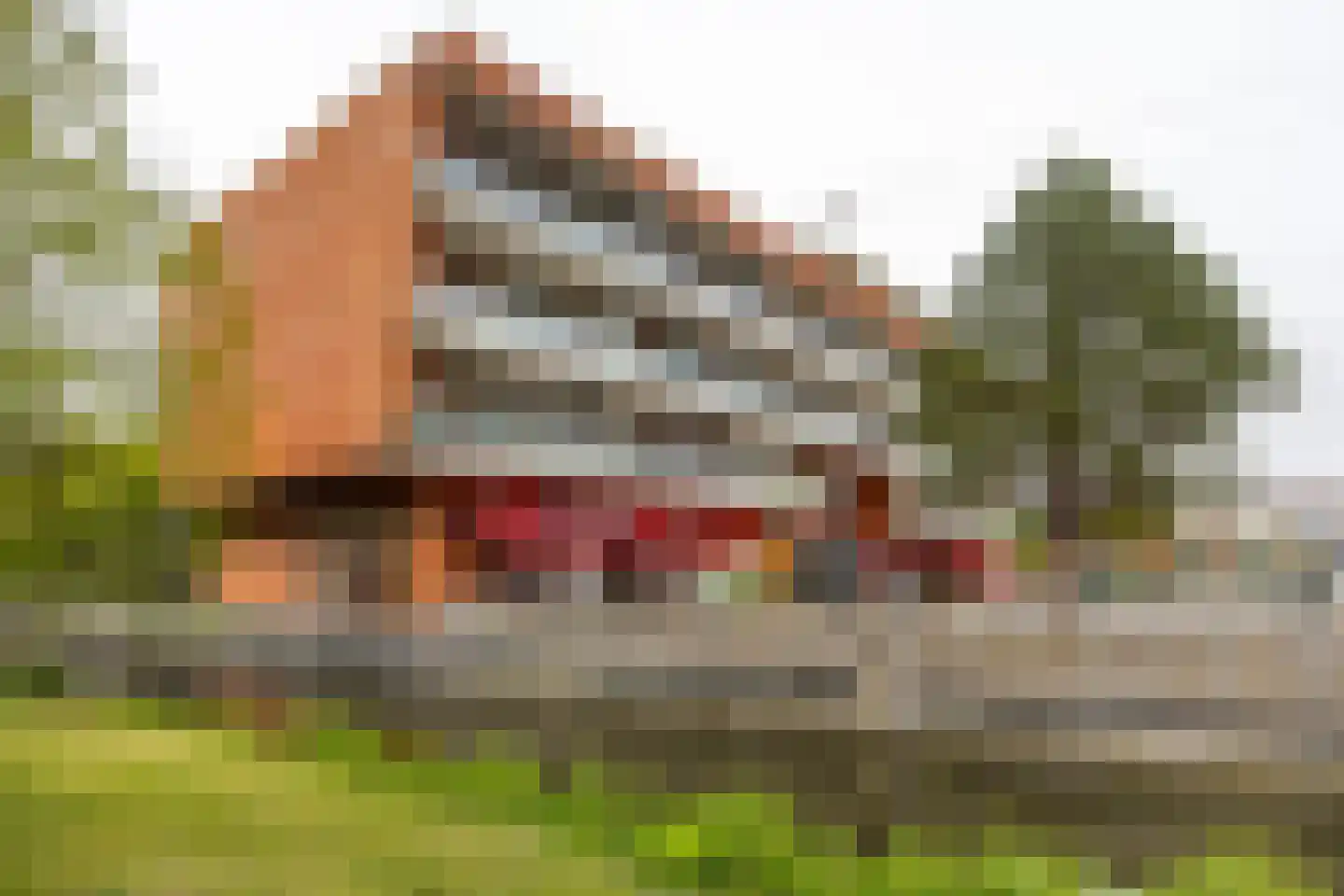 Leonardo da Vinciplein 9 Haarlem thumbnail 29