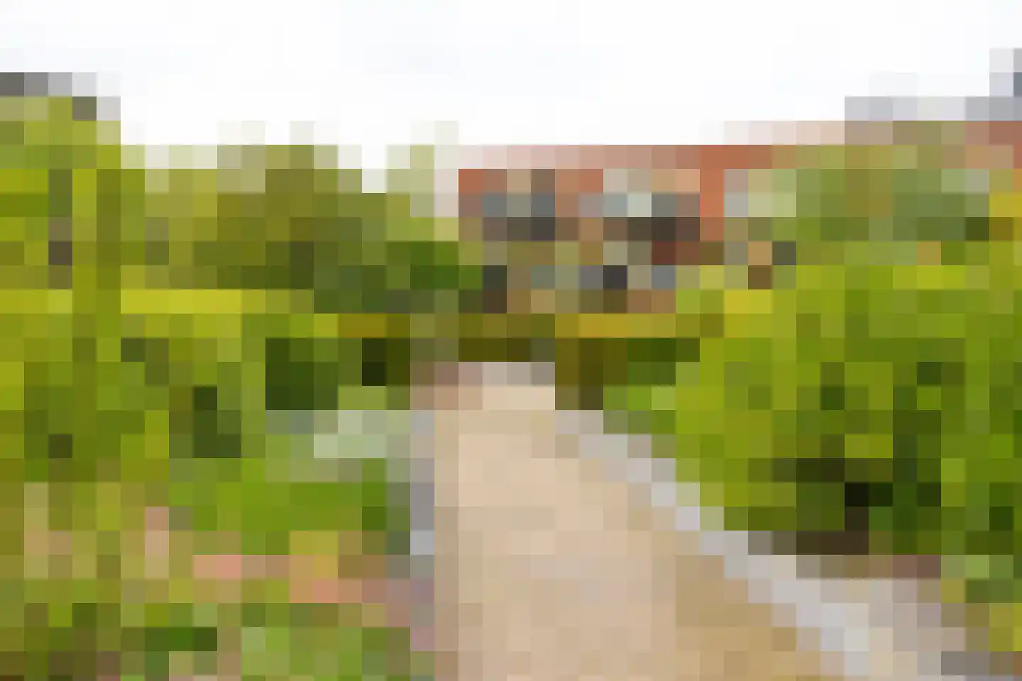 Leonardo da Vinciplein 9 Haarlem thumbnail 31