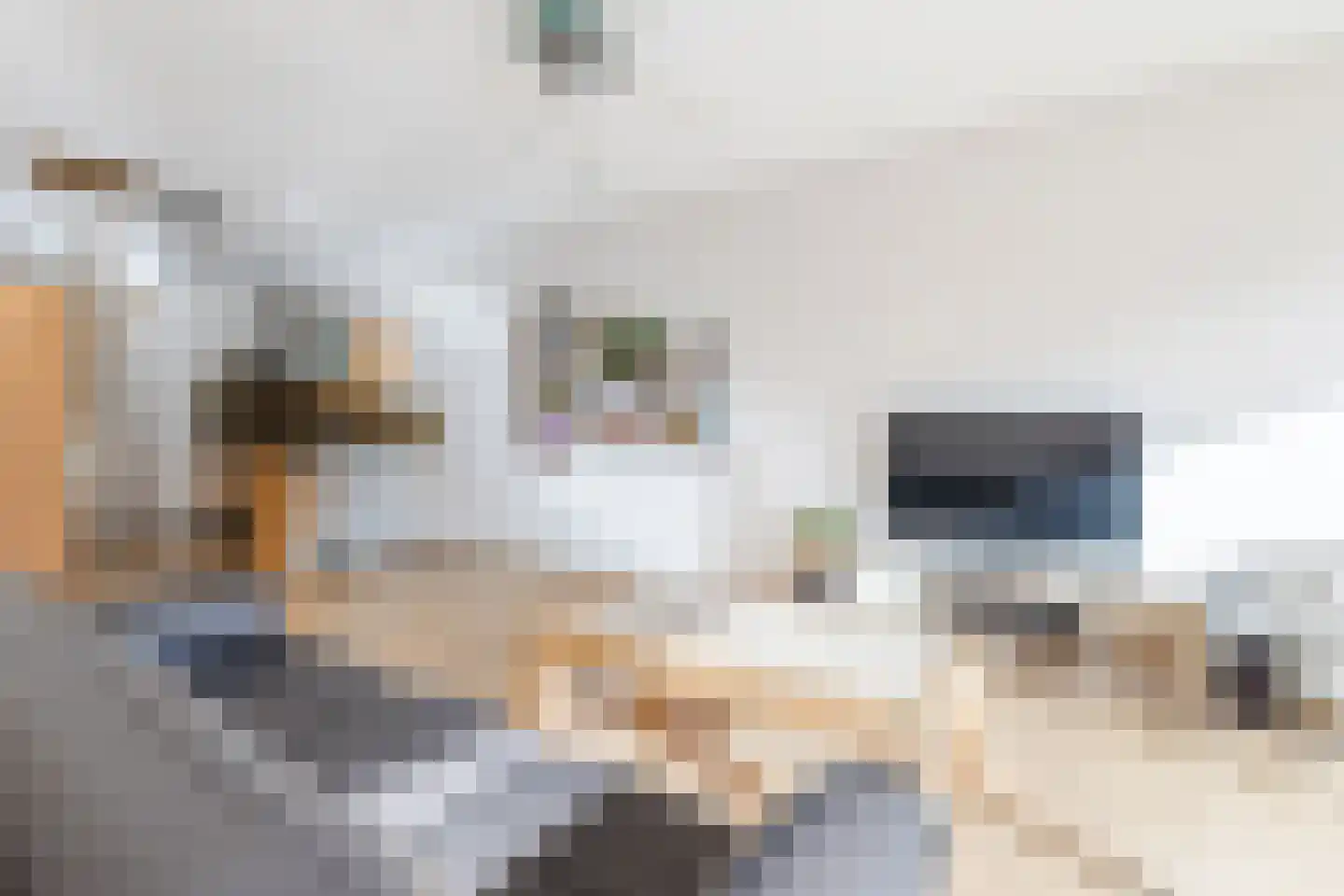 Leonardo da Vinciplein 9 Haarlem thumbnail 8