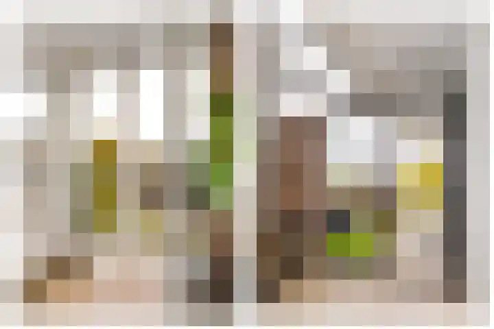 Leonardo da Vinciplein 92 Haarlem thumbnail 13