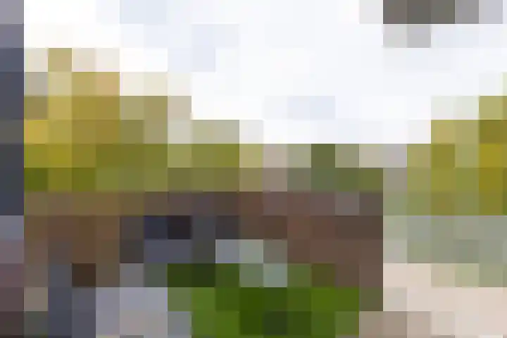 Leonardo da Vinciplein 92 Haarlem thumbnail 15