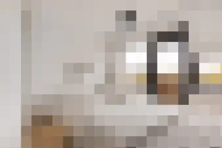 Leonardo da Vinciplein 92 Haarlem thumbnail 17
