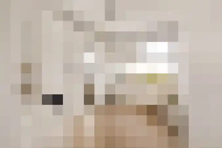 Leonardo da Vinciplein 92 Haarlem thumbnail 18