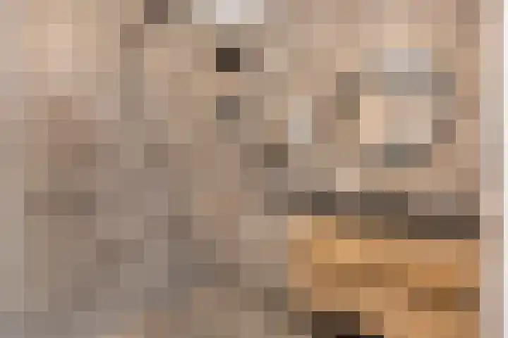 Leonardo da Vinciplein 92 Haarlem thumbnail 19