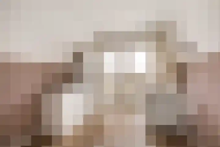 Leonardo da Vinciplein 92 Haarlem thumbnail 21