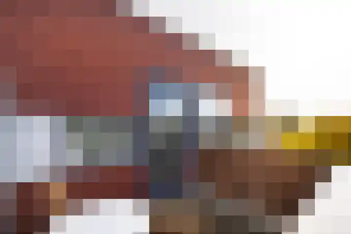 Leonardo da Vinciplein 92 Haarlem thumbnail 23