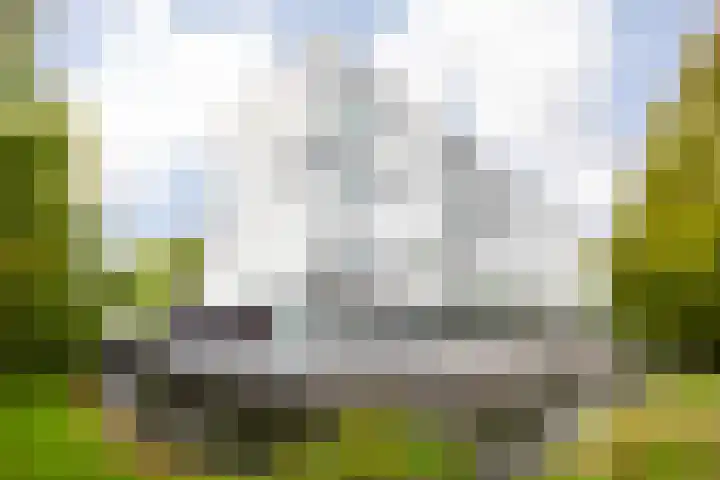Leonardo da Vinciplein 92 Haarlem thumbnail 29