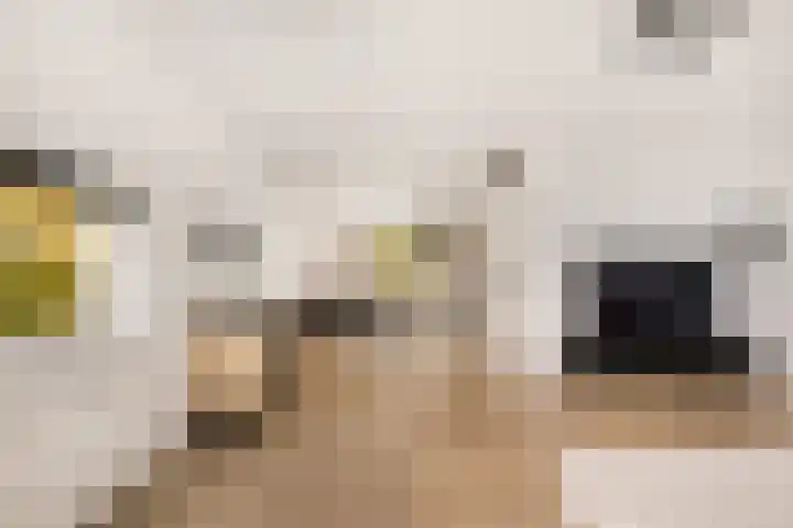 Leonardo da Vinciplein 92 Haarlem thumbnail 5