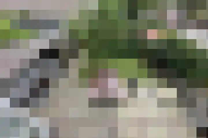Leonardo da Vincistraat 2 Amersfoort thumbnail 34