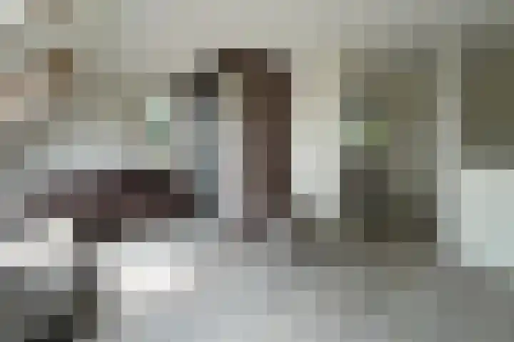 Leonardo da Vincistraat 2 Amersfoort thumbnail 38