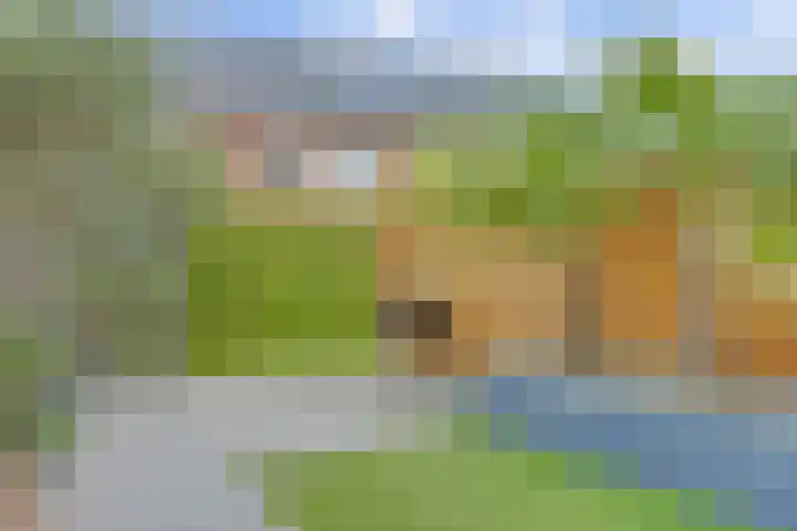 Leonardo da Vincistraat 28 Lent thumbnail 23