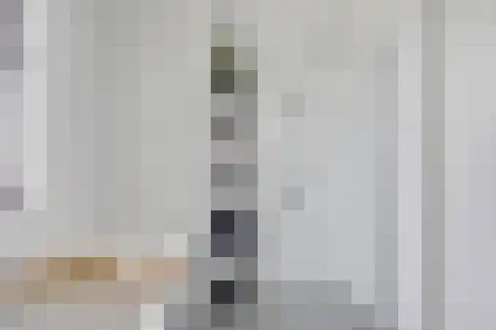 Leonardo da Vincistraat 28 Lent thumbnail 38