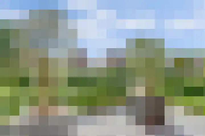 Leonardo da Vincistraat 28 Lent thumbnail 44