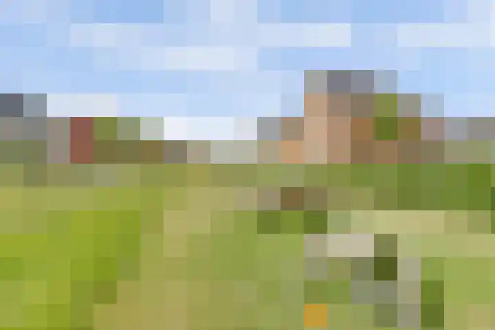 Leonardo da Vincistraat 28 Lent thumbnail 47