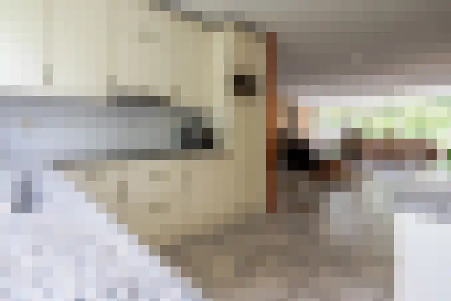 Leonardo da Vincistraat 31 Amersfoort thumbnail 18