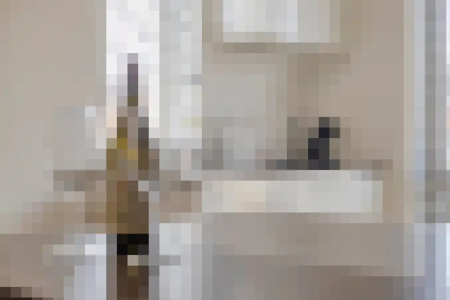 Leonardo da Vincistraat 32 Lent thumbnail 14