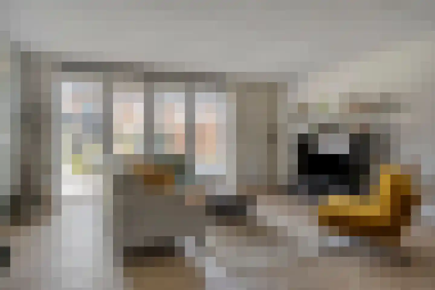 Leonardo da Vincistraat 32 Lent thumbnail 7