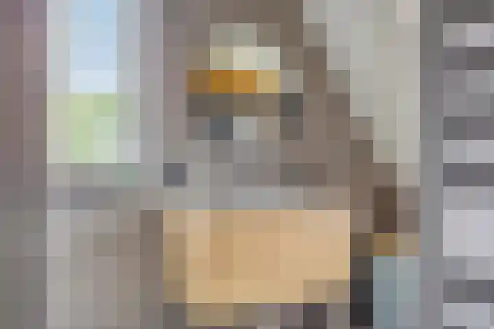 Leonardo da Vincistraat 54 Lent thumbnail 33