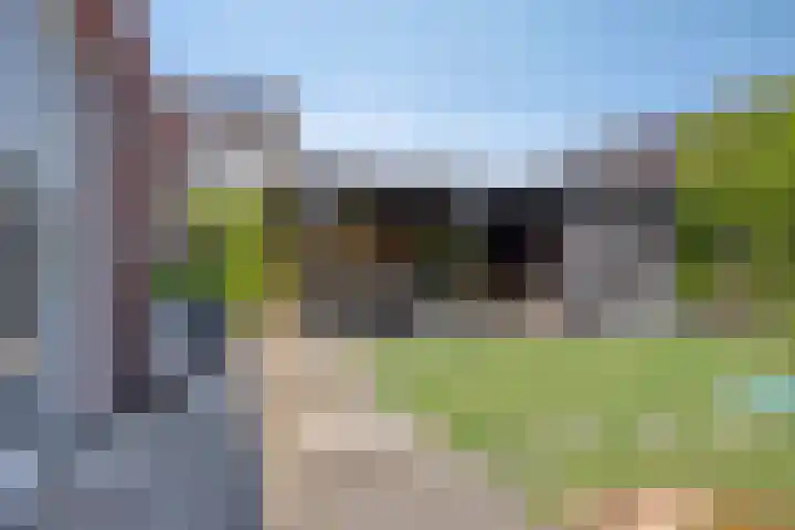 Leonardo da Vincistraat 54 Lent thumbnail 38