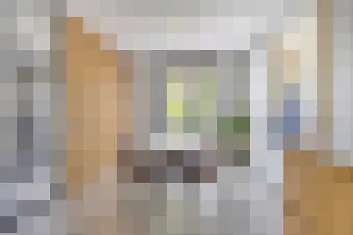 Leonardo da Vincistraat 54 Lent thumbnail 8