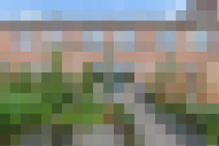 Leonardo da Vincistraat 74 Amersfoort thumbnail 43