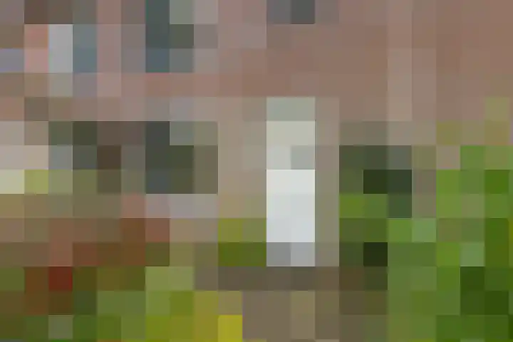 Leonardo da Vincistraat 74 Amersfoort thumbnail 6