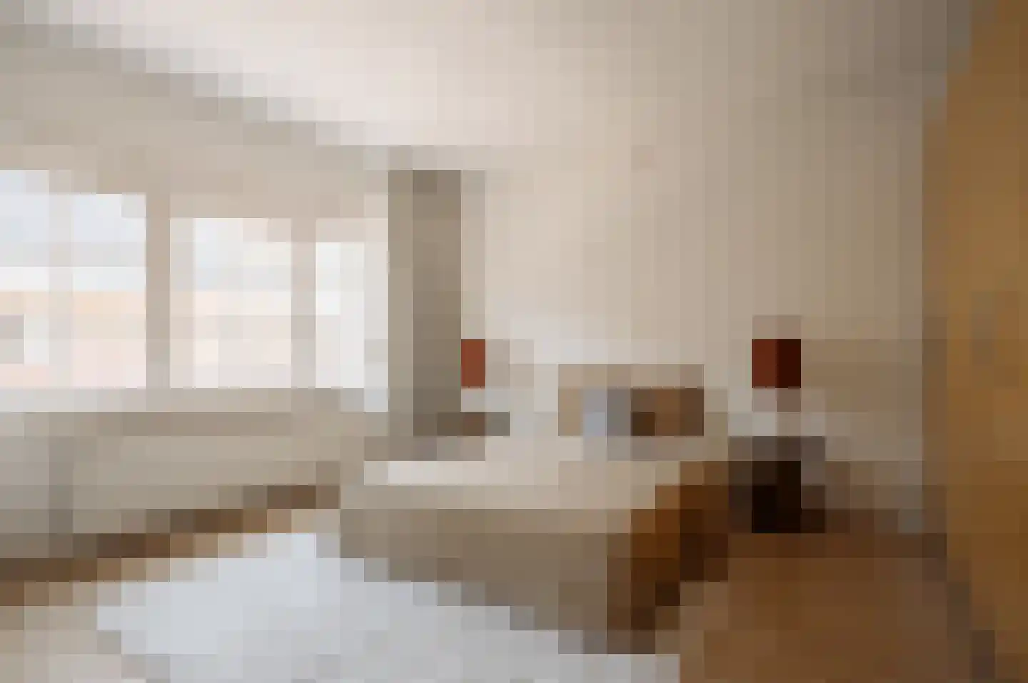 Leonardostraat 6 2 Amsterdam thumbnail 18