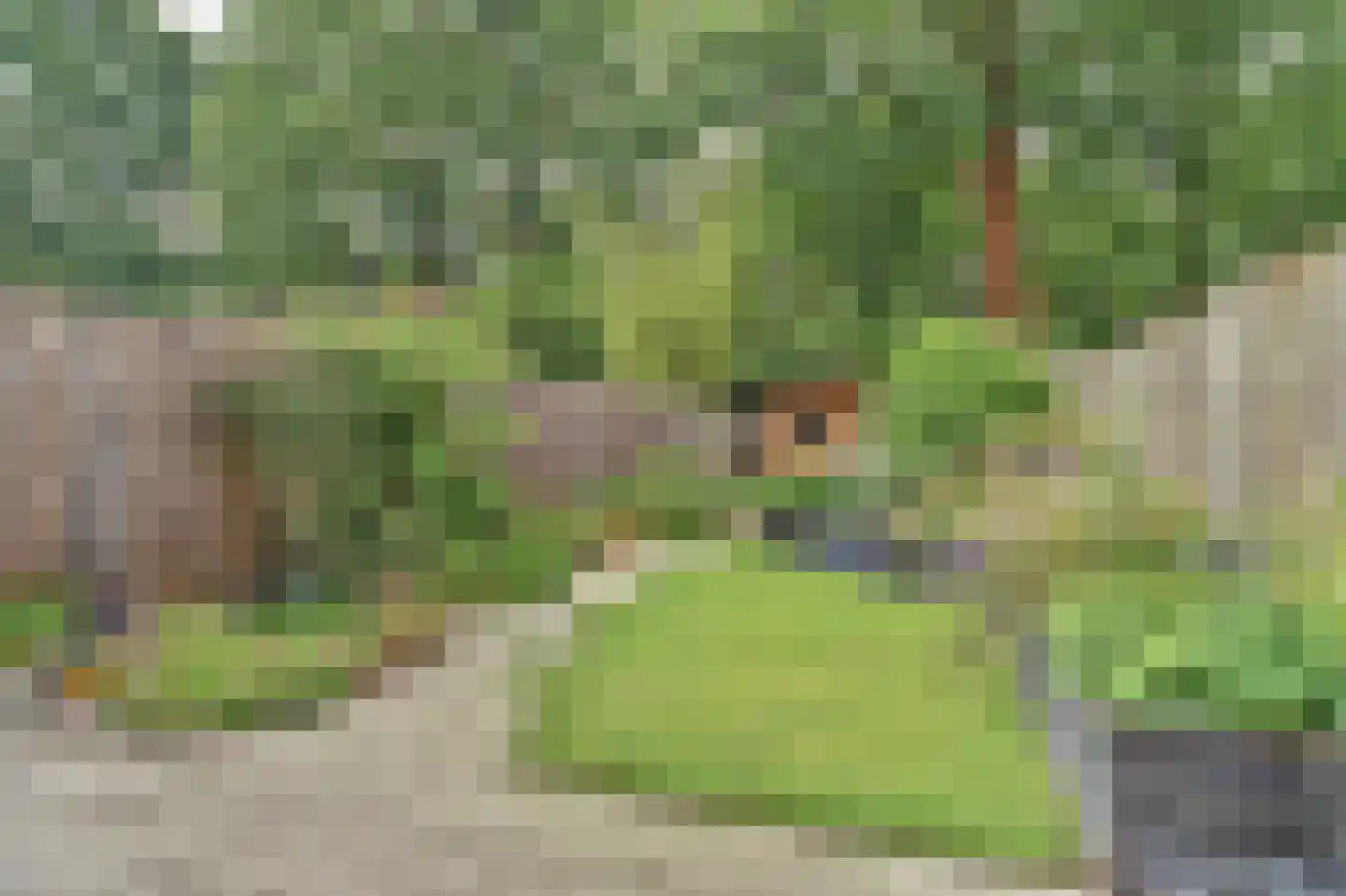 Leonardusdal 29 Valkenswaard thumbnail 38