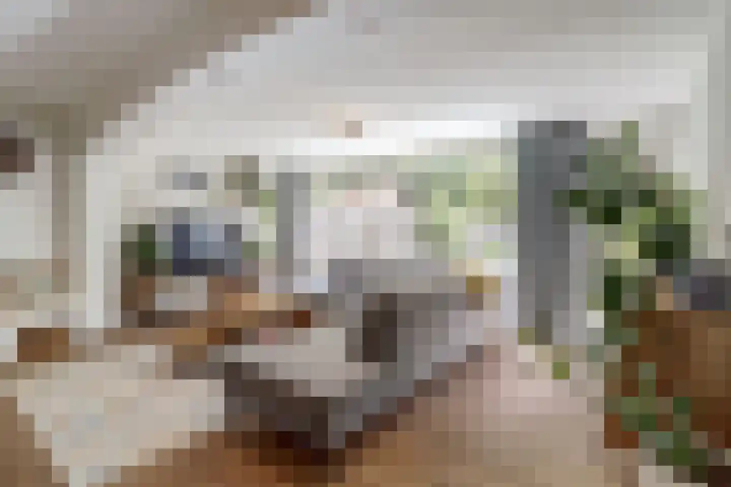 Leonardusdal 29 Valkenswaard thumbnail 8