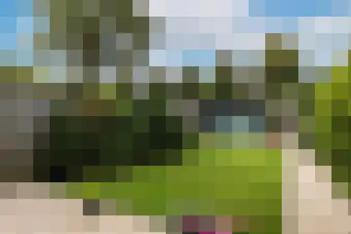 Leonardusdal 75 Valkenswaard thumbnail 38